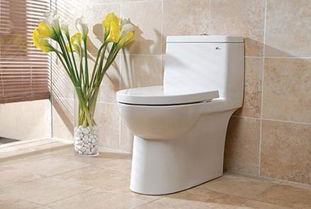 北京尚高卫浴 您的专业卫浴解决方案伙伴，售后无忧，品质保证